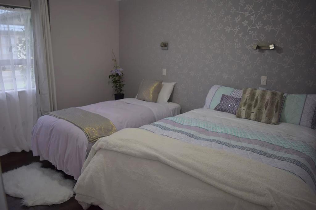 Kea Apartments ネルソン エクステリア 写真